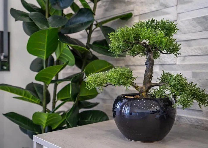 アパート Rocha Solmonte ポルティマン