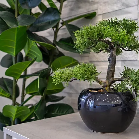 Apartament Rocha Solmonte Portimão